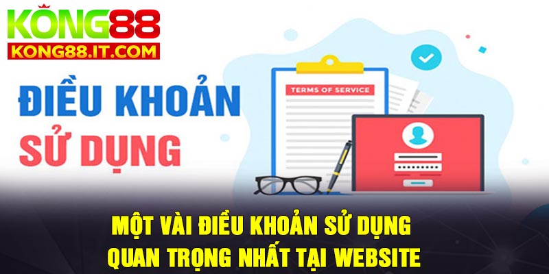 Một vài điều khoản sử dụng quan trọng nhất tại website